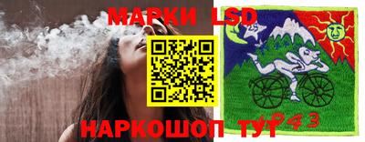 гашиш Шебекино