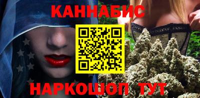 гидра Шахты