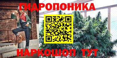 прущие грибы Чапаевск
